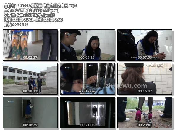 LHY023-梨花雨 毒枭之泪之未日.jpg