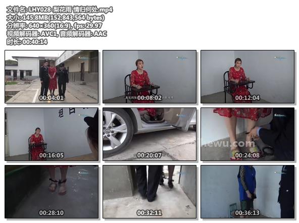 LHY028-梨花雨 情归何处.jpg