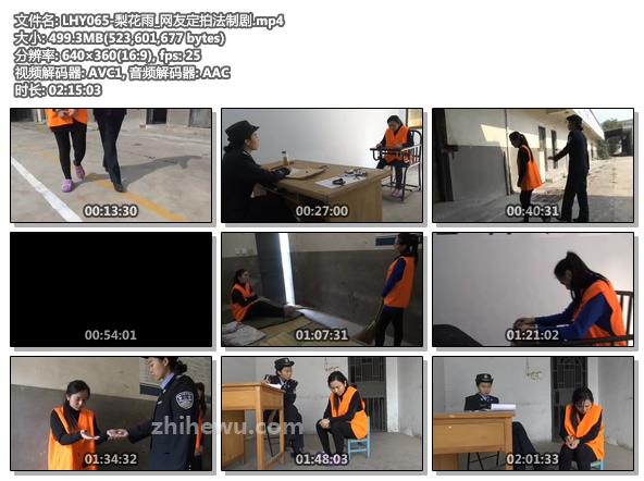 LHY065-梨花雨_网友定拍法制剧.jpg
