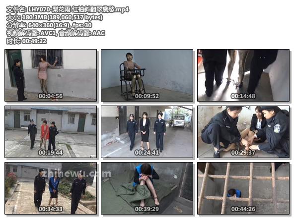 LHY070-梨花雨 红袖斜翻翠黛愁.jpg