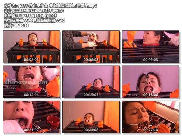 qt486-路由工作室_笼枷禁锢 强制口腔窥探.jpg