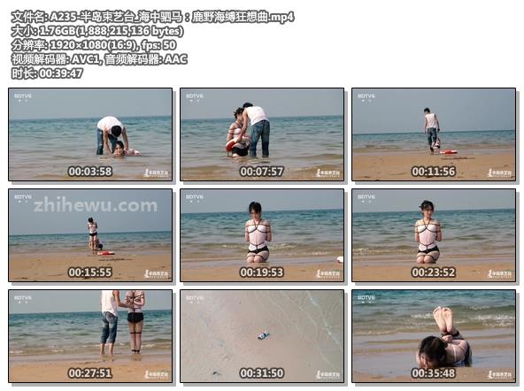 A235-半岛束艺台_海中驷马：鹿野海缚狂想曲.jpg