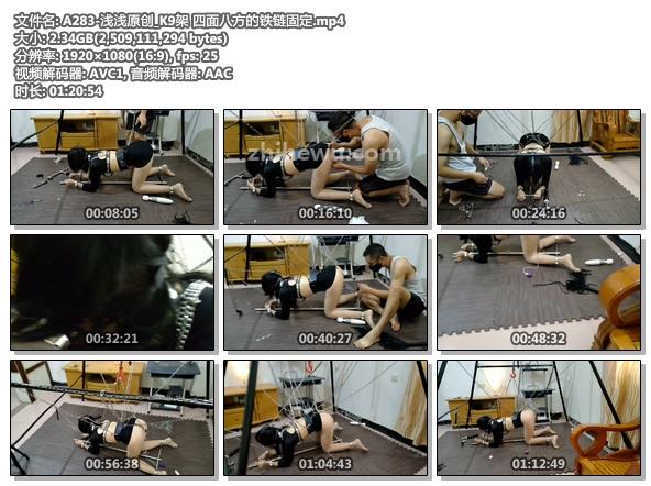 A283-浅浅原创_K9架 四面八方的铁链固定.jpg