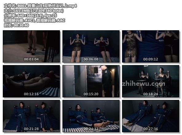 B001-胜景山庄_双艳伏法记 上.jpg