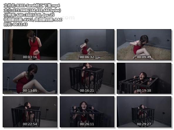 B303-Sarah特工 下集.jpg