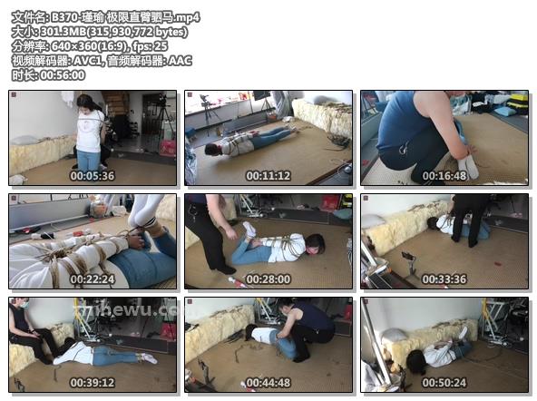 B370-瑾瑜 极限直臂驷马.jpg