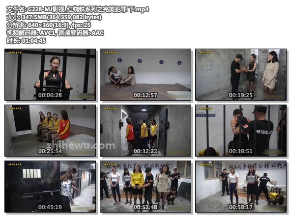 C228-MJ影视_红蜘蛛系列之完美犯罪 下.jpg