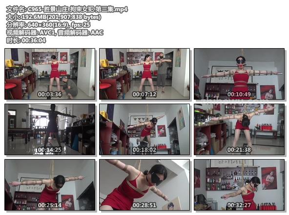 C965-胜景山庄_拘束女犯 第三集.jpg