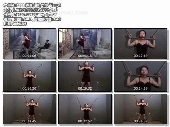 E989-胜景山庄_劫持 下.jpg