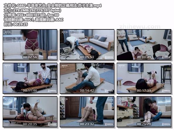 G882-半岛束艺台_安全带的正确用法 苏子主演.jpg