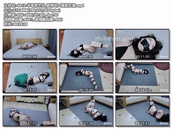 G912-半岛束艺台_胶带劫3 海语主演.jpg