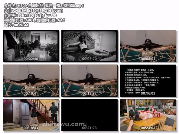 H309-白城出品_孤注一掷2 特别篇.jpg