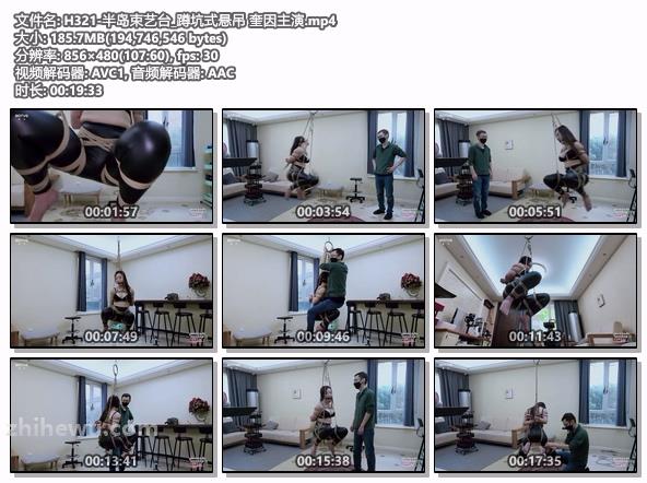 H321-半岛束艺台_蹲坑式悬吊 奎因主演.jpg