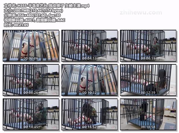 H355-半岛束艺台_我皮痒了 矢崎主演.jpg