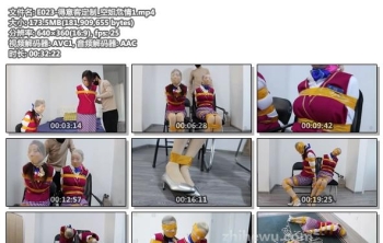 E023-得意客定制_空姐危情1