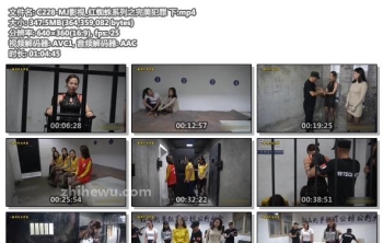 C228-MJ影视_红蜘蛛系列之完美犯罪 下