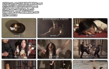 hjyy65-怀旧影苑_璇卿传奇