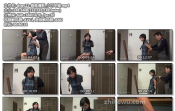 dyqy22-典雅倩影_小巧专辑