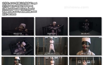 A747-胜景山庄_拘束 下