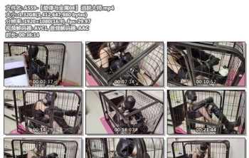 A559-【旋律与金属08】 逃脱大师