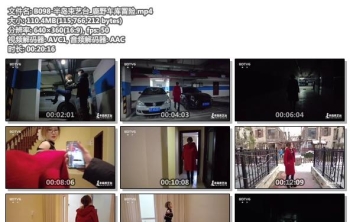 B098-半岛束艺台_鹿野车库冒险