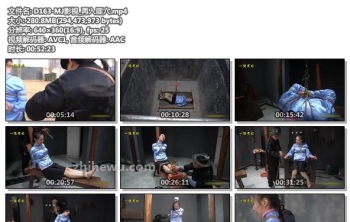 D163-MJ影视_再入匪穴