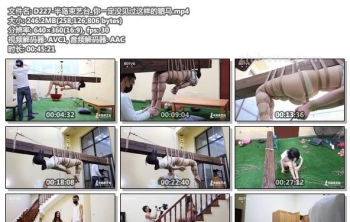 D227-半岛束艺台_你一定没见过这样的驷马