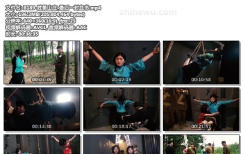 B189-胜景山庄_最后一封血书