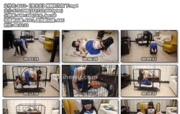 B211-【夜未央】婉婉初为奴 下