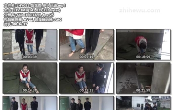 LHY082-梨花雨_伊人已逝