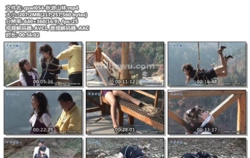 qswl054-秋游山林