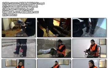 LHY015-梨花雨_缘愁似个长1