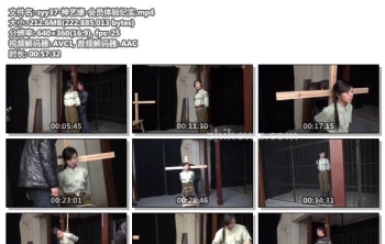 syy37-神艺缘-会员体验纪实