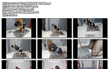 C215-HD飞天_柔柔拘束架严密禁锢