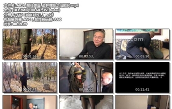 A914-丽佳美亚_盗林惯犯之旧照片