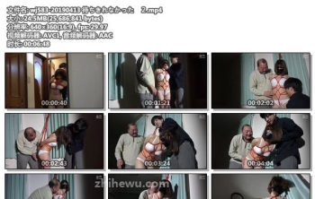 wj583-20190413 待ちきれなかった　２