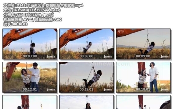 D242-半岛束艺台_挖掘机技术哪家强