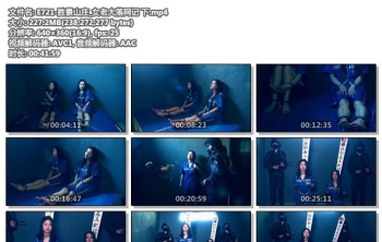 E721-胜景山庄_女老大落网记 下