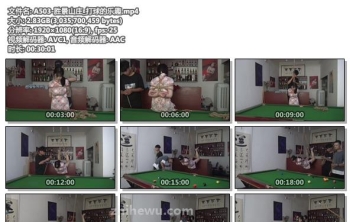 A503-胜景山庄_打球的乐趣