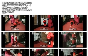 qt256-禅狱工作室_训狗