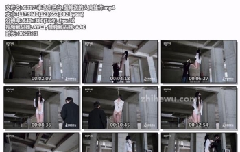 G017-半岛束艺台_装修送的人肉挂件