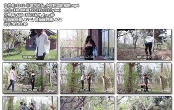 E342-半岛束艺台_小树林里的秘密