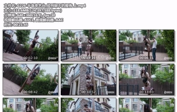 G226-半岛束艺台_绞刑架下的报告 上