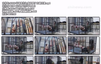 H355-半岛束艺台_我皮痒了 矢崎主演