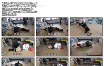 B366-瑾瑜 暗黑游戏 上