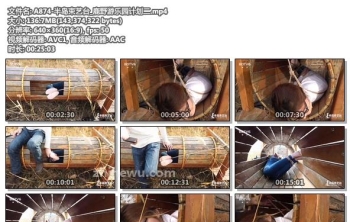 A874-半岛束艺台_鹿野游乐园计划二