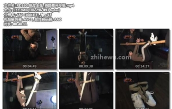 RD160-锐度主张_晓颖悬吊专辑