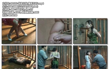 RD102-锐度主张_情系五环1