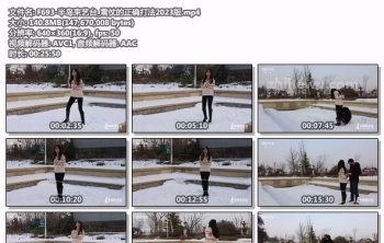 F693-半岛束艺台_雪仗的正确打法2023版