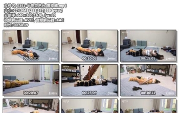 E351-半岛束艺台_置换熊